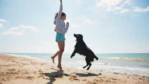 Meisje en zwarte hond springen op een strand