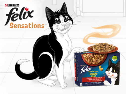 Felix met zijn natte kattenvoeding van Felix Sensations​
