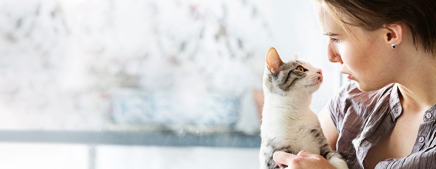 Chaton à fourrure légère détenu par une femme.