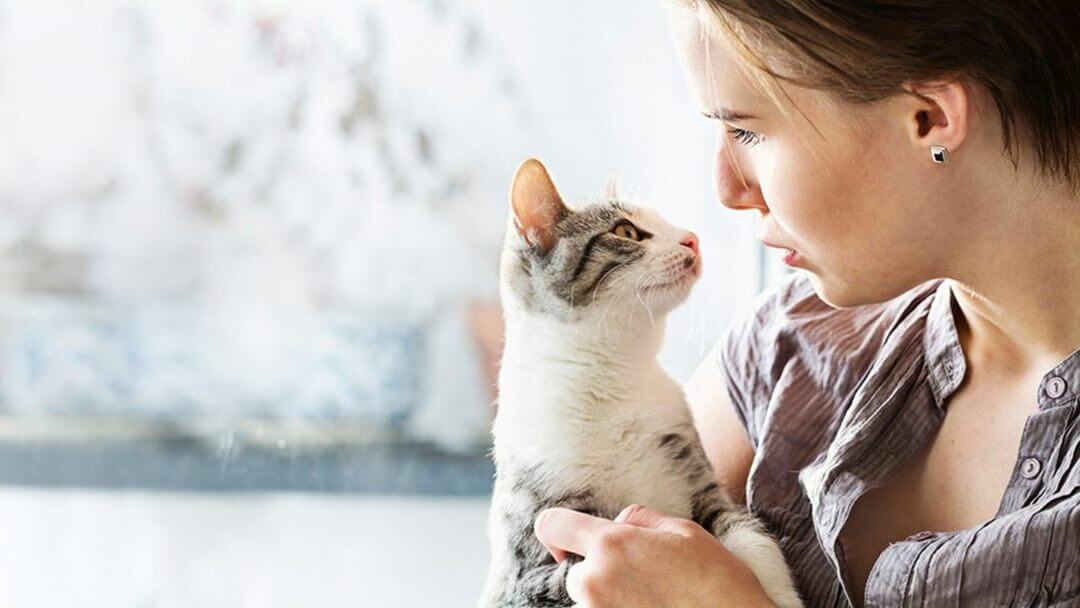 Kitten met een lichte vacht wordt vastegehouden door een vrouw