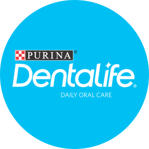 Dentalife