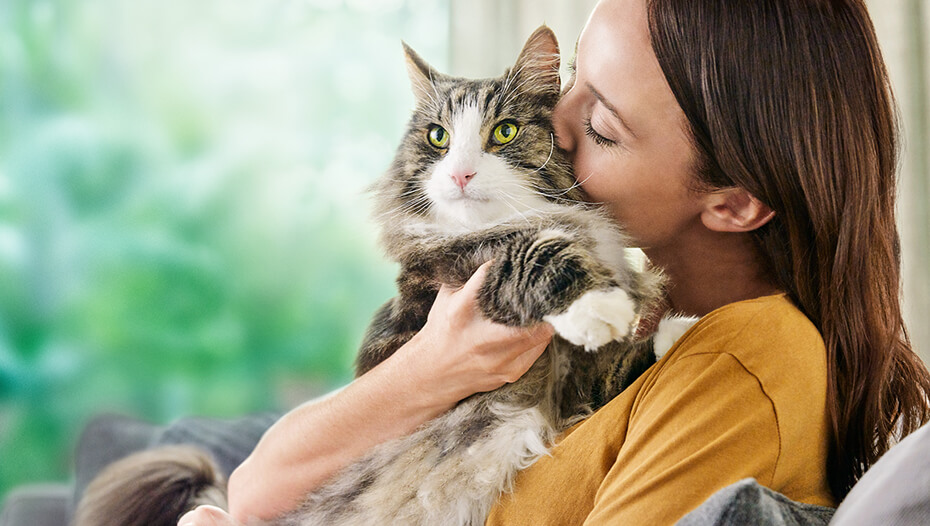 Kat knuffel vrouw