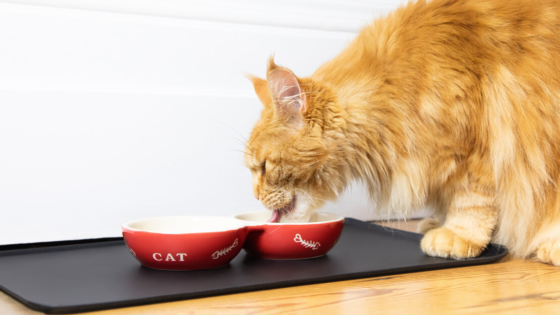 PURINA Kattenvoeding ter ondersteuning van de nierfunctie