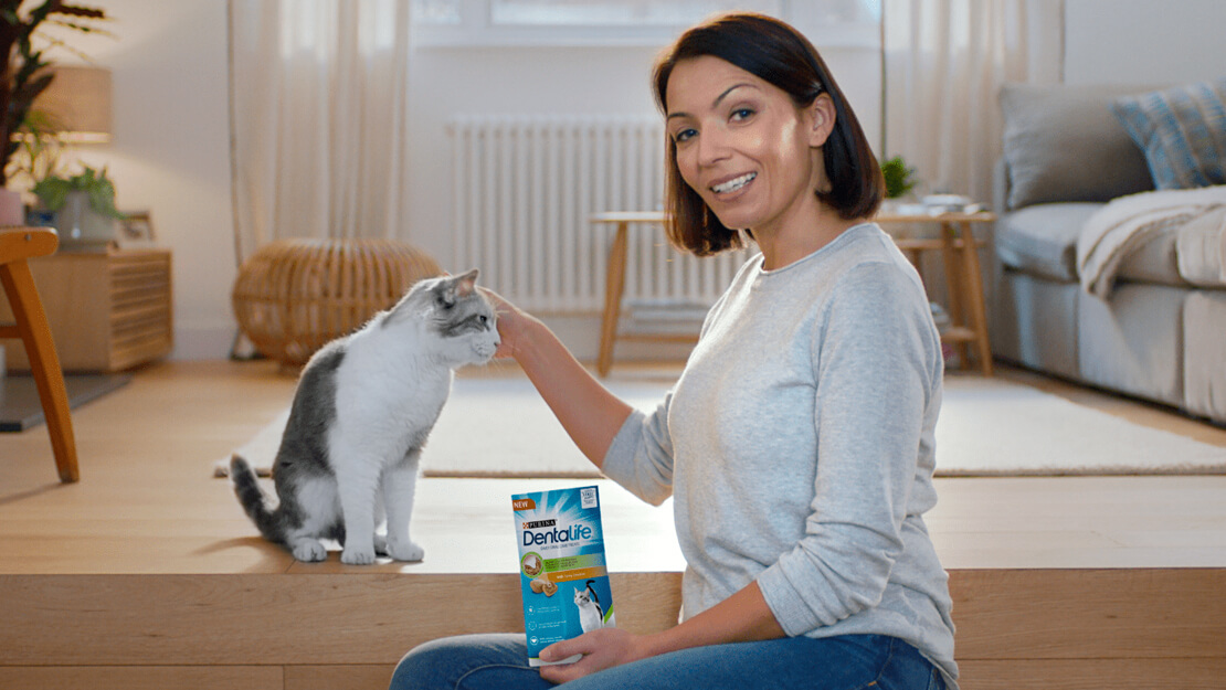 Page de liste des aliments pour chats Dentalife