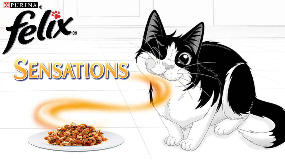 Page de liste Felix Sensations