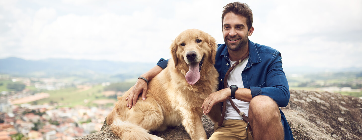 Hond zittend op de berg met man