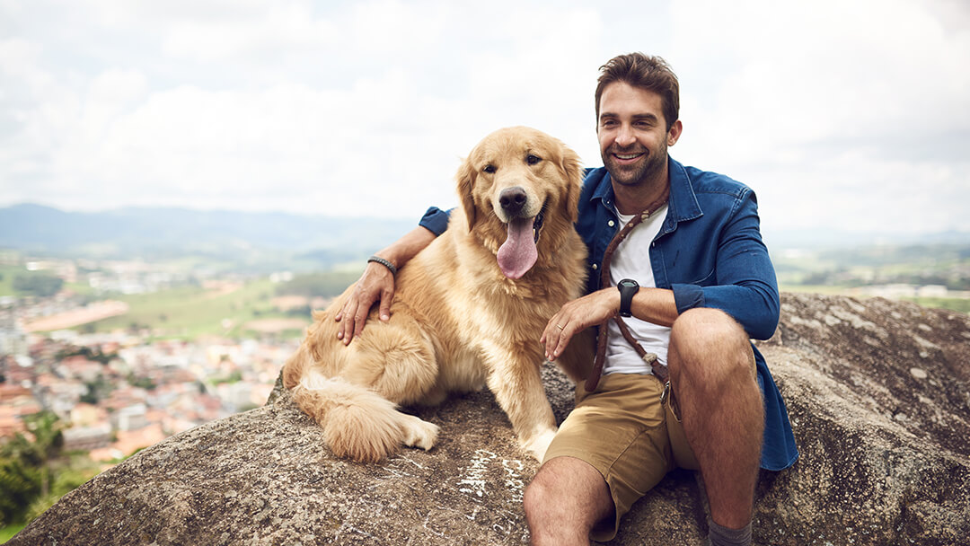 Hond zittend op de berg met man