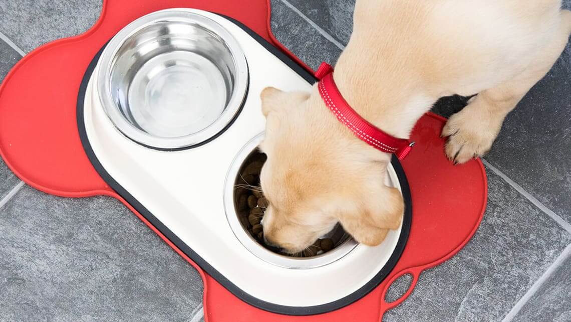 Page d'annonces sèches pour chiots de nourriture pour chiens