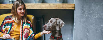 Hoe zorg jij voor je oudere hond?