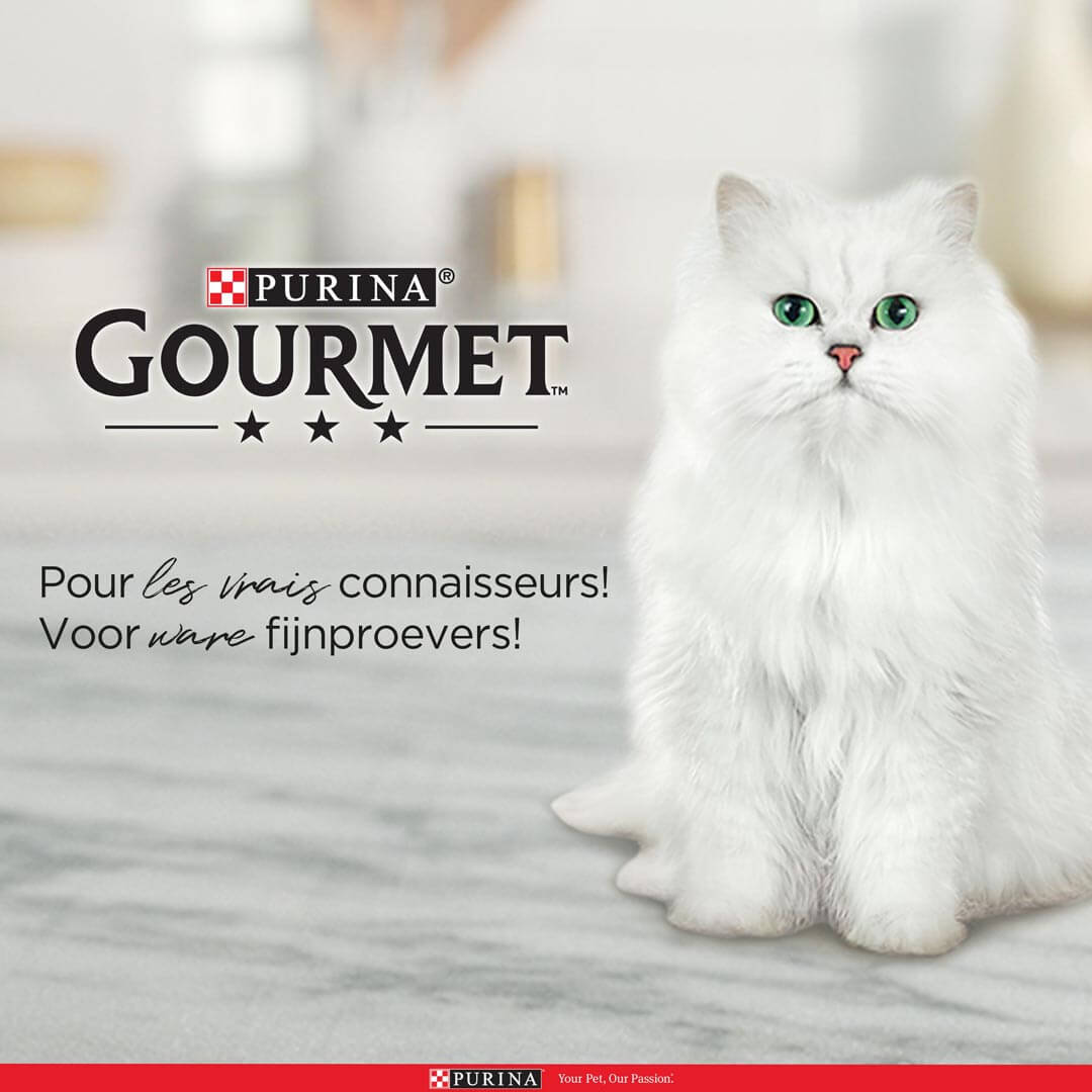 GOURMET GOLD Les Mousselines - Pâtée pour chat 4 variétés - 12x85 g