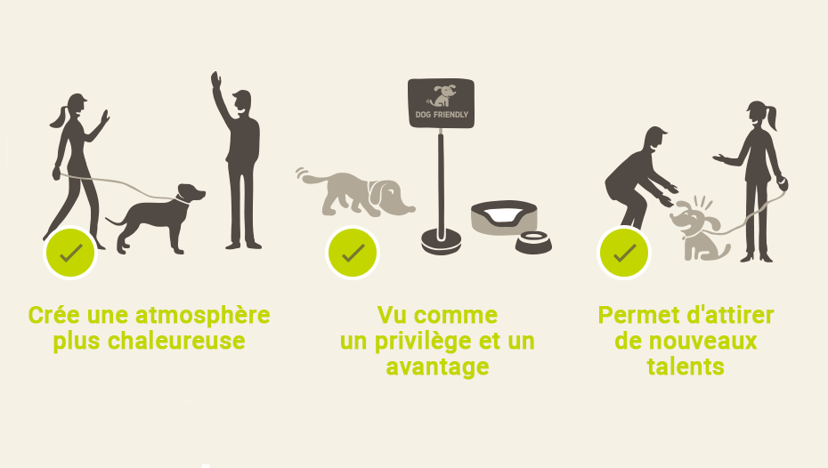 Animaux au travail infographie