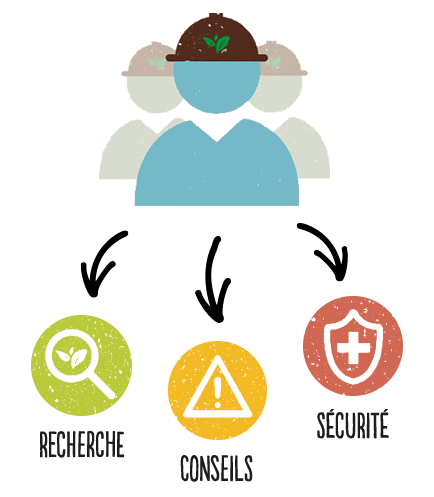 Recherche, conseils et sécurité