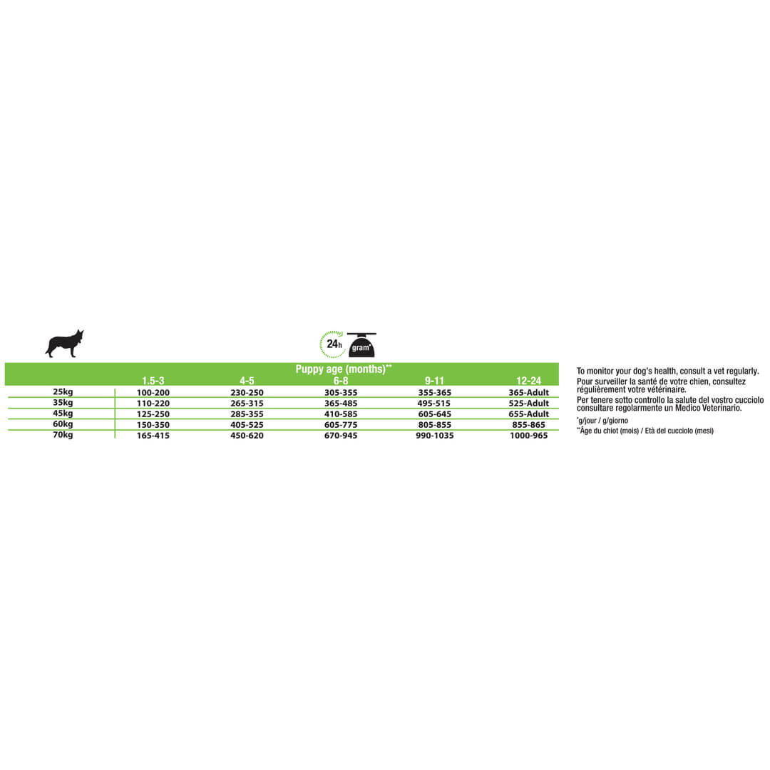 large athletic puppy