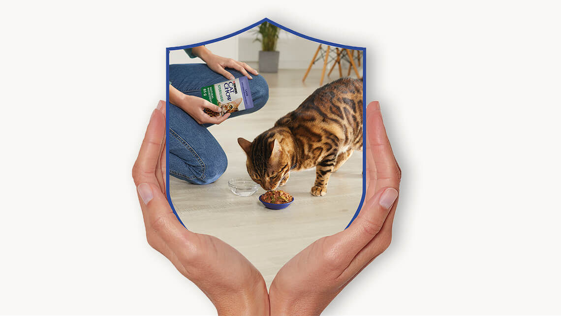 PURINA CAT CHOW Kattenvoeding