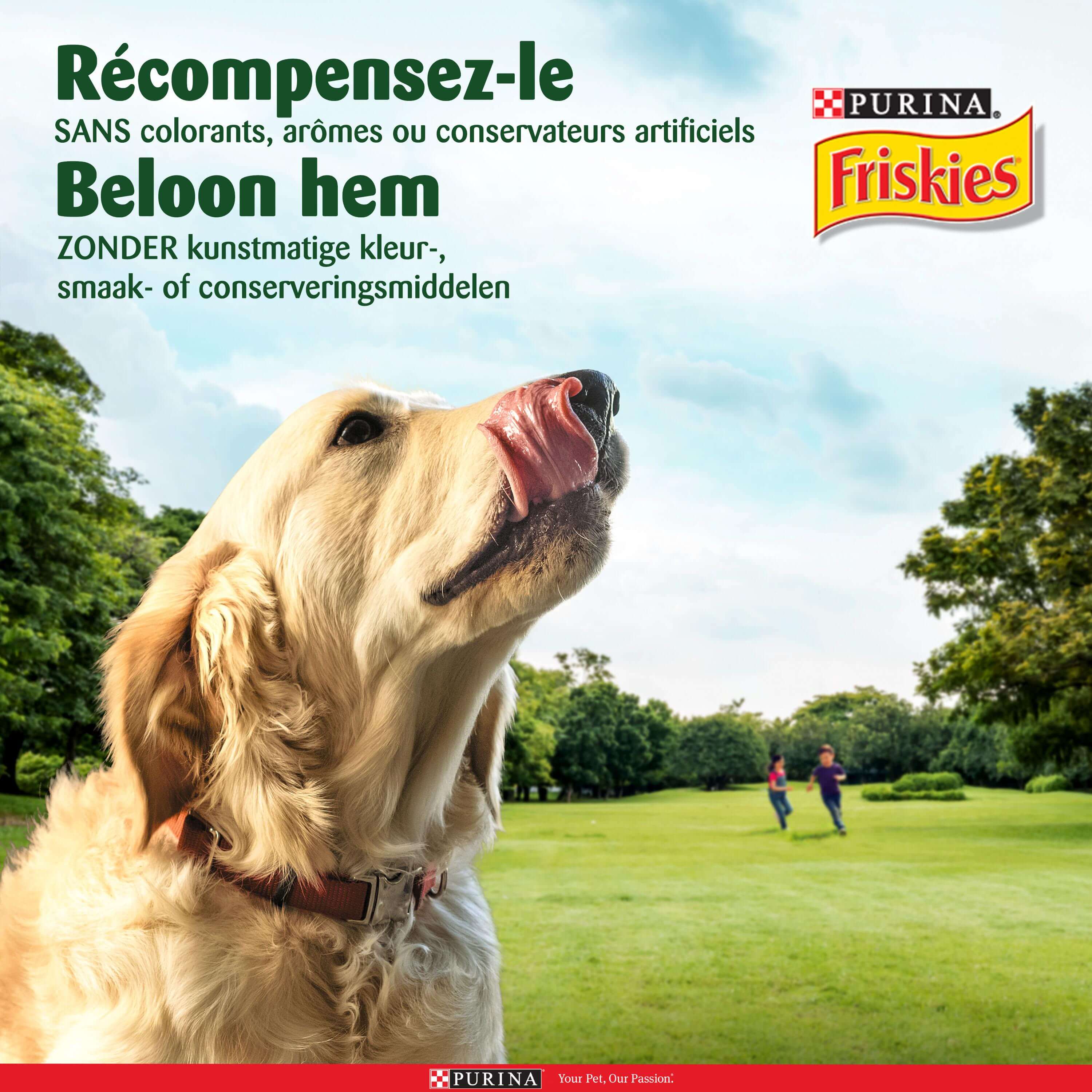 Beloon hem Friskies Hond 