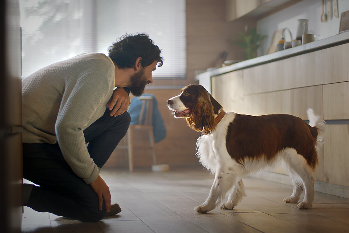 Een man en een hond kijken elkaar aan in een keuken