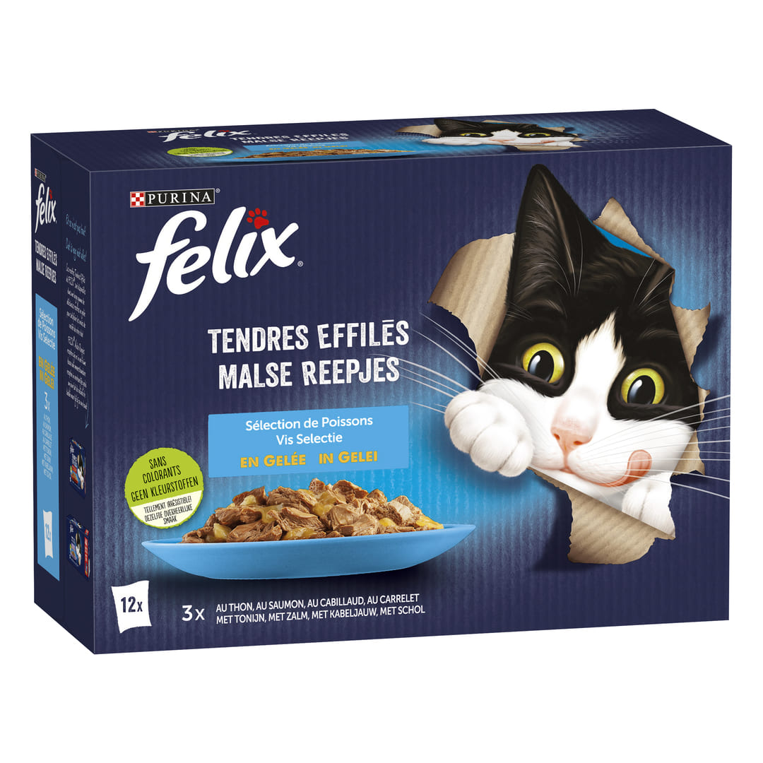 Nourriture Pour Poissons-Chats WELSI Gran - Granulés Sinking 5L / 3.25kg - Aliment Complet Multi-Ingrédients Pour Poissons De Fond