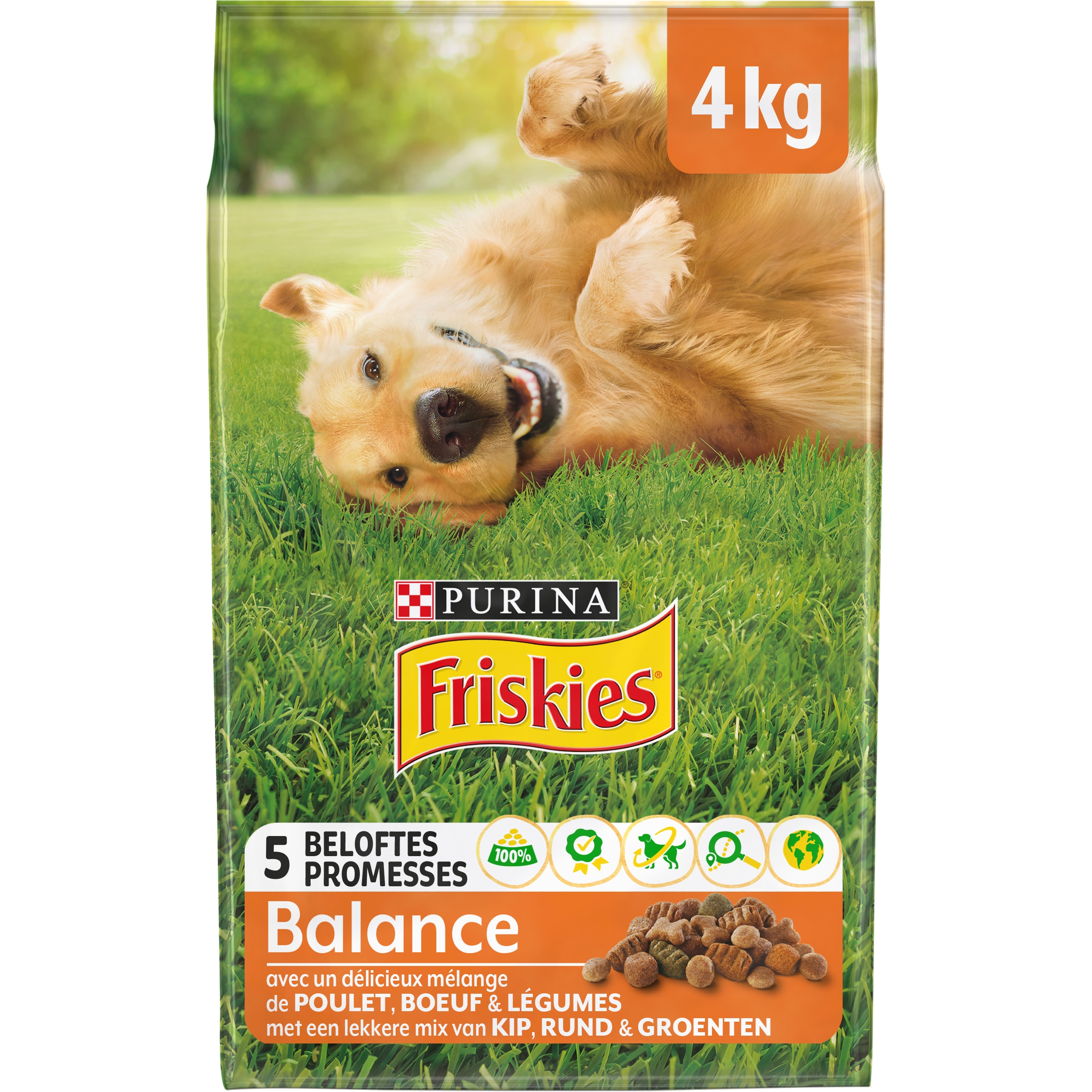 Croquettes Pour Chat Friskies 4 kg - Purina