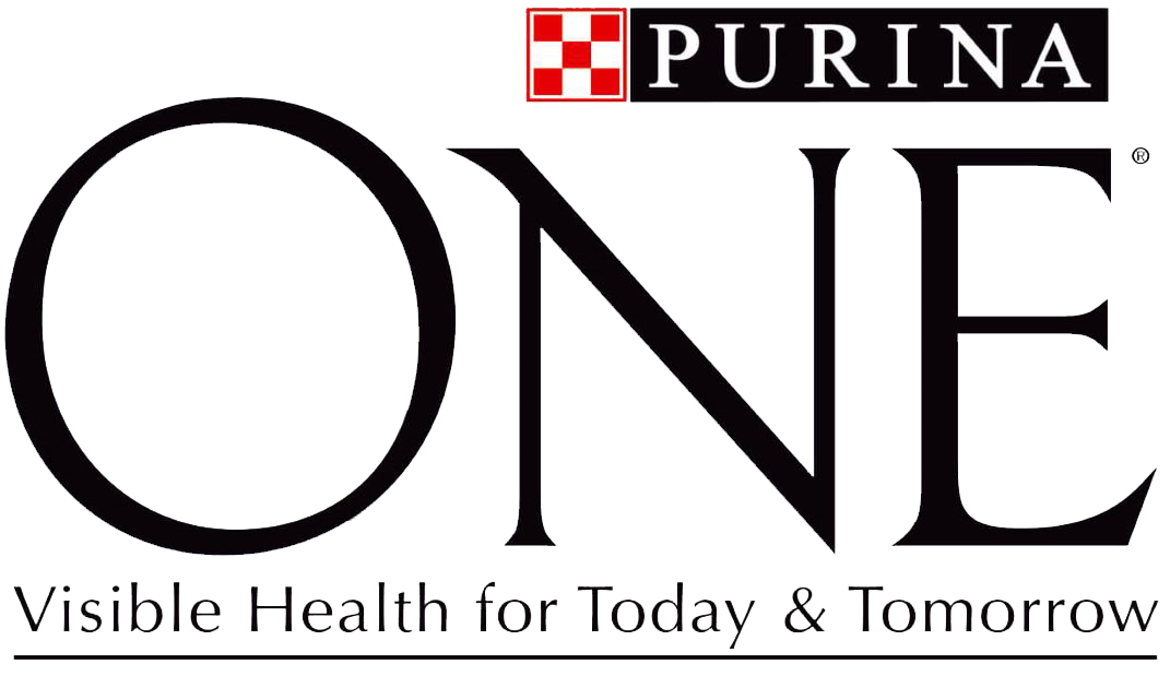 PURINA ONE®​ Chien