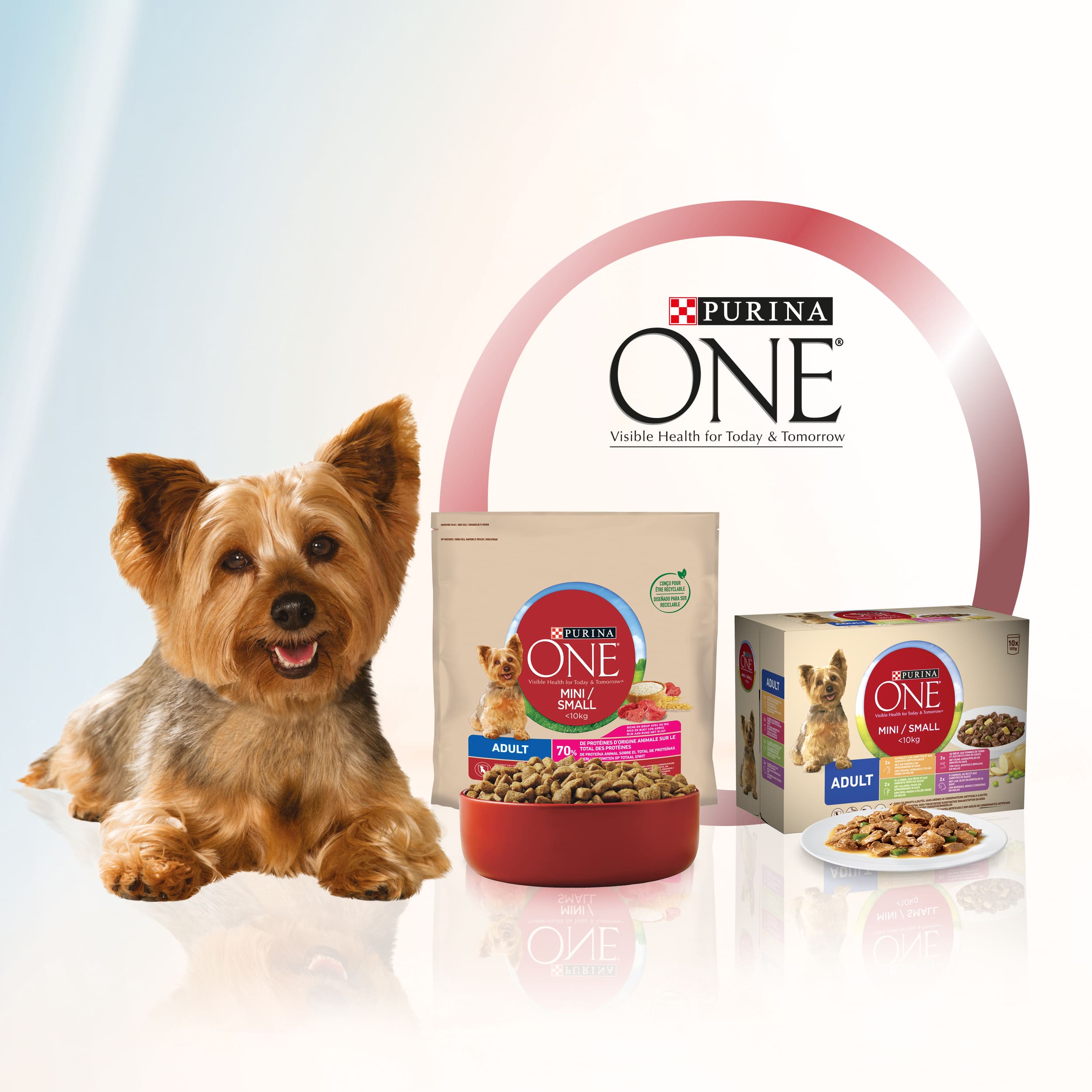 Purina ONE hond