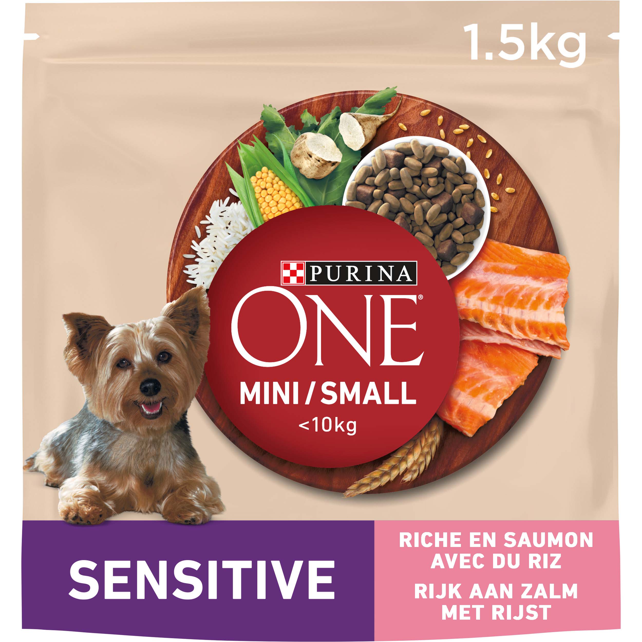 Croquettes Pour Chien Adulte De Petite Taille (<10 Kg) - Saveur Saumon, Lot De 3 Sacs De 1,35 Kg, Haute Digestibilité