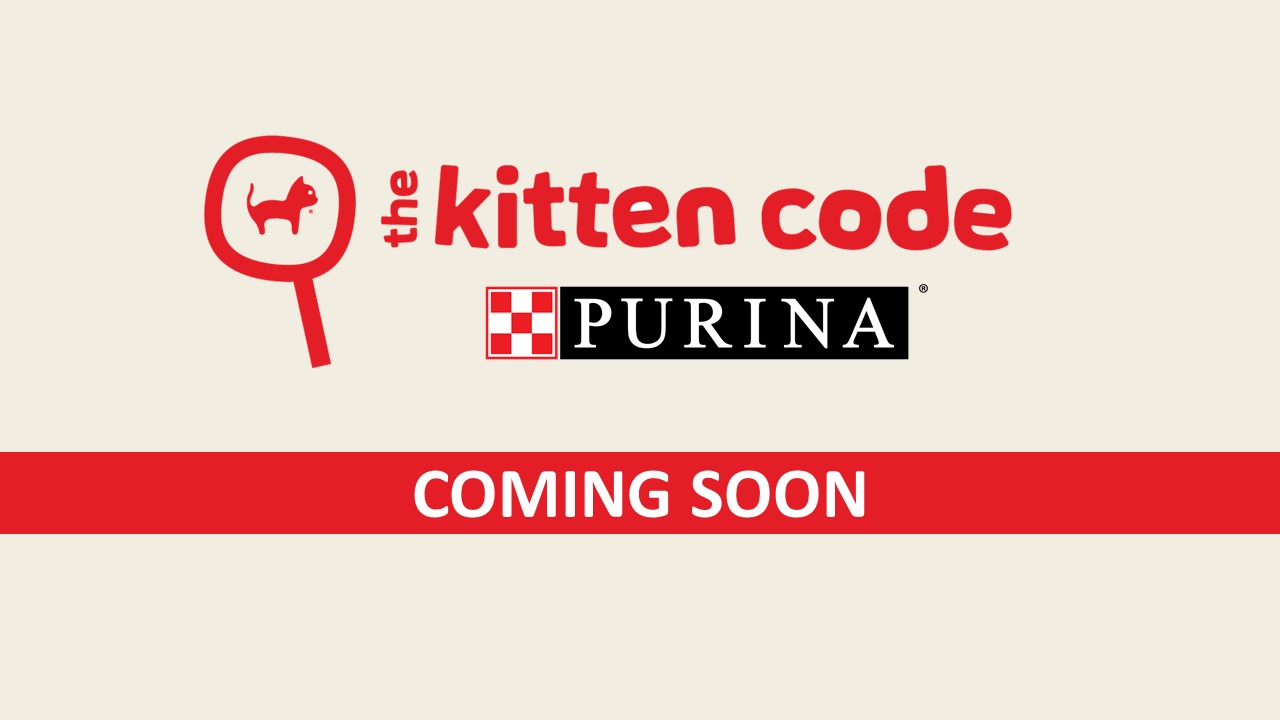 Kitten Code logo