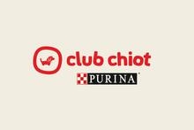 club chiot