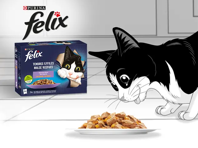 Felix avec sa nourriture humide pour chat Felix Tendres Effilés