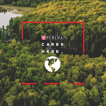 Purina Cares