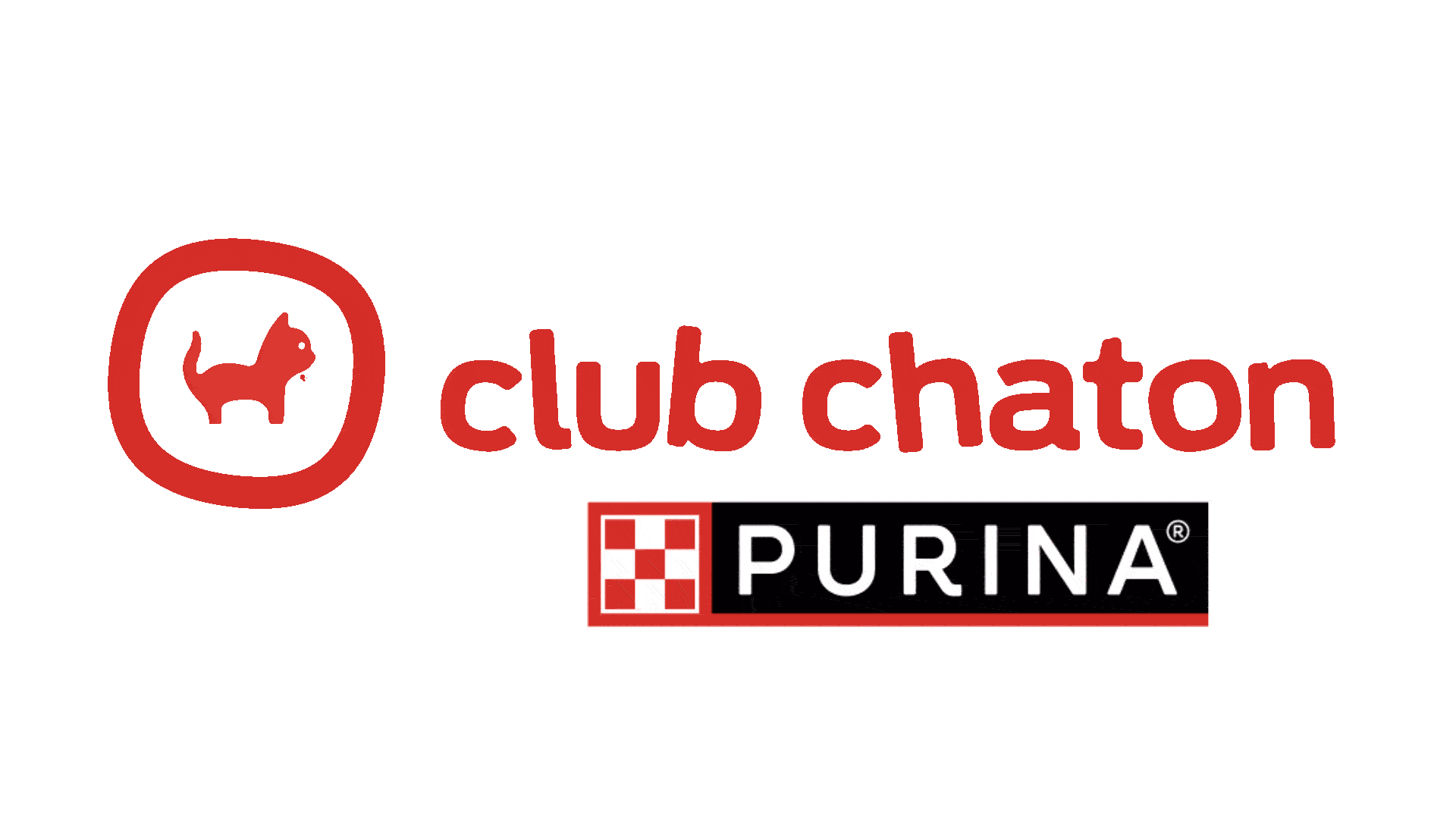 club chaton