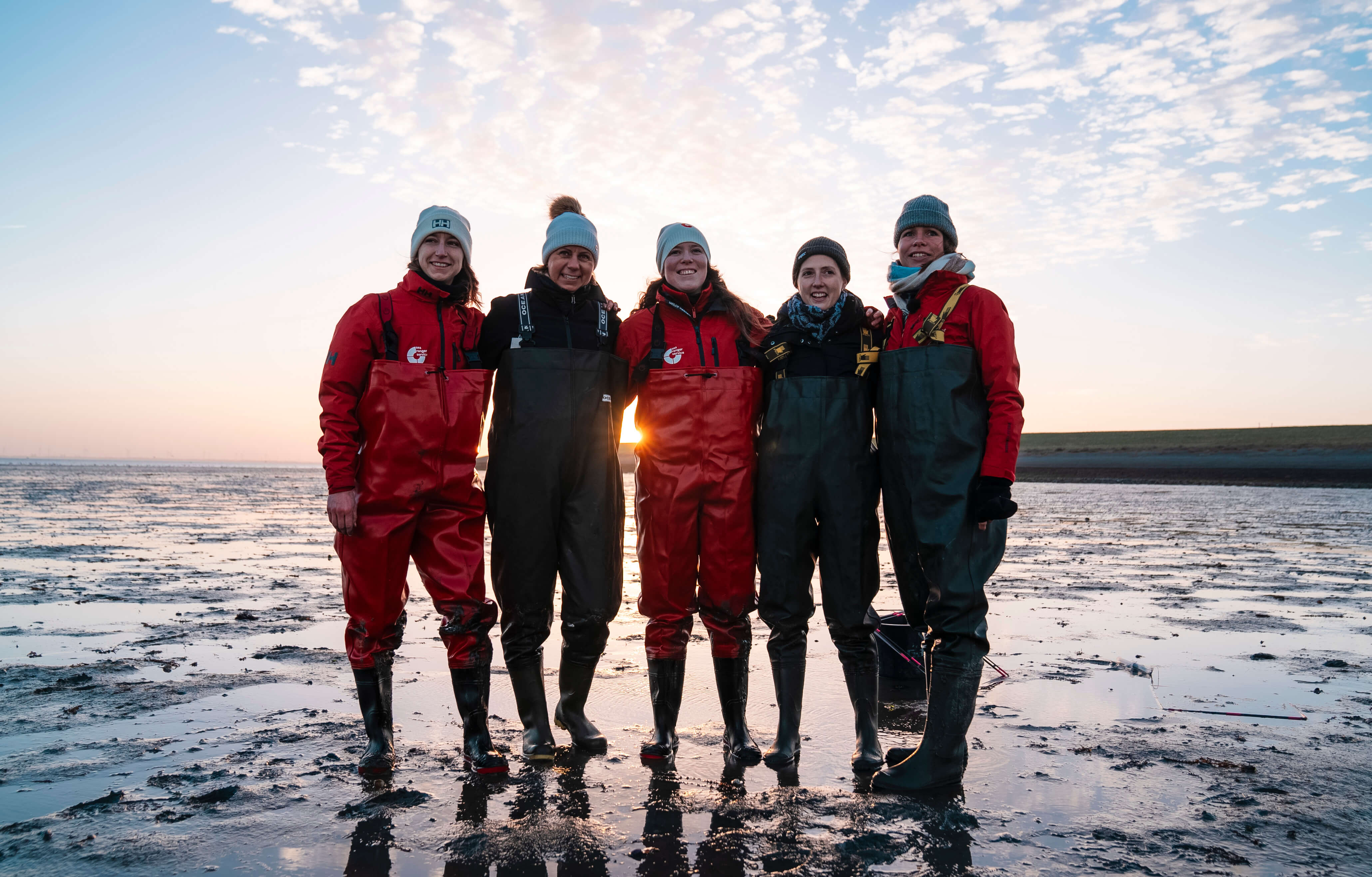 De teams van Sea Rangers en Purina Europe zijn ter plaatse in Nederland