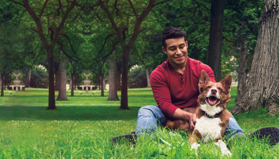 Man zit op het gras met bomen en zijn hond ligt voor hem