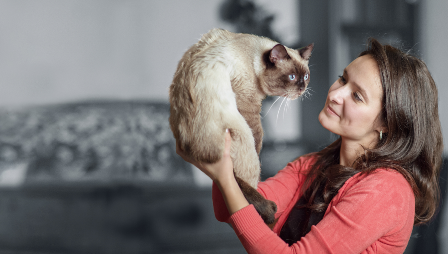 Accrochez-vous pendant que nous trouvons la meilleure correspondance « paw-sible » pour vous...