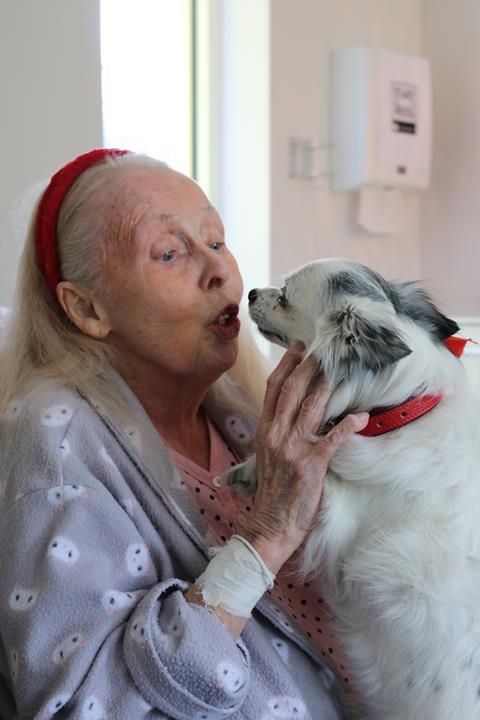 een patiënte aait een kleine hond