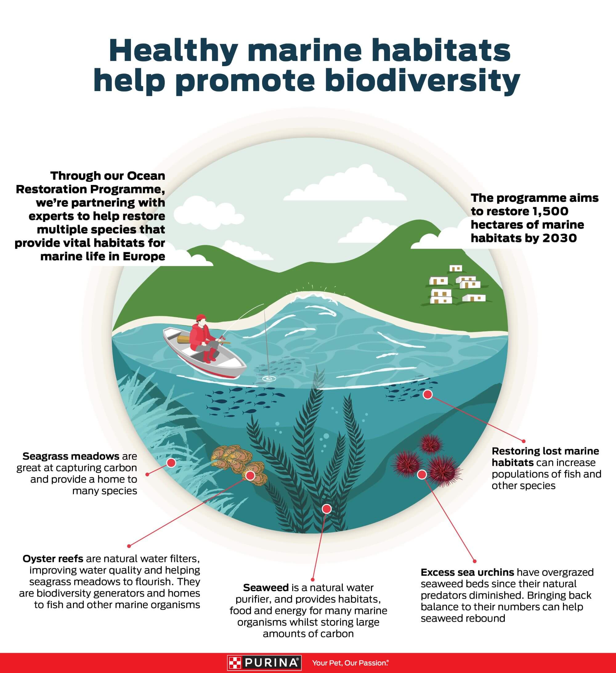 Infographic