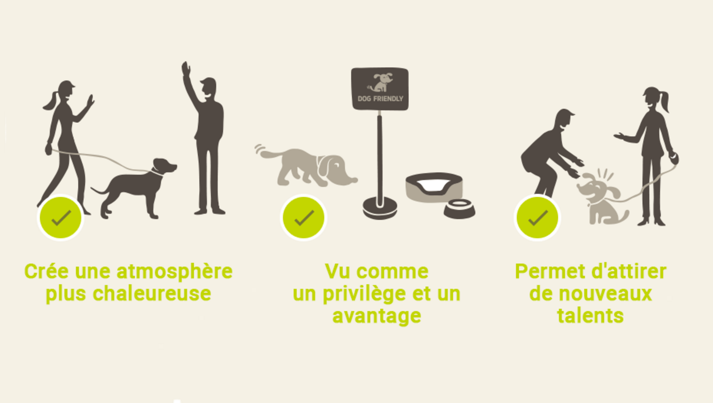 Animaux au travail infographie