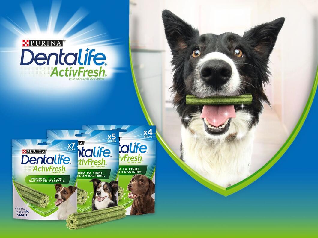 DentaLife ActivFresh