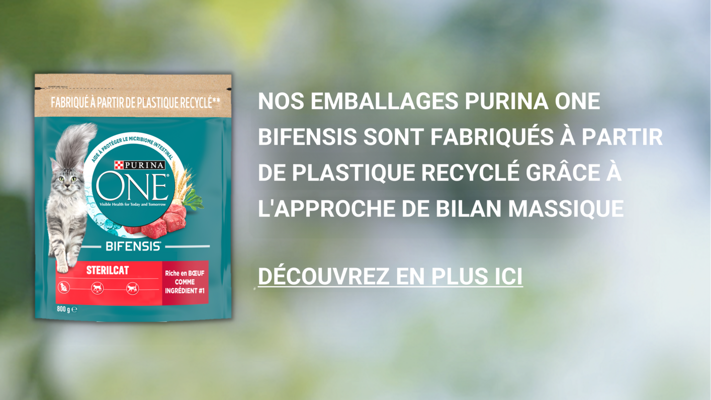 Approche bilan massique