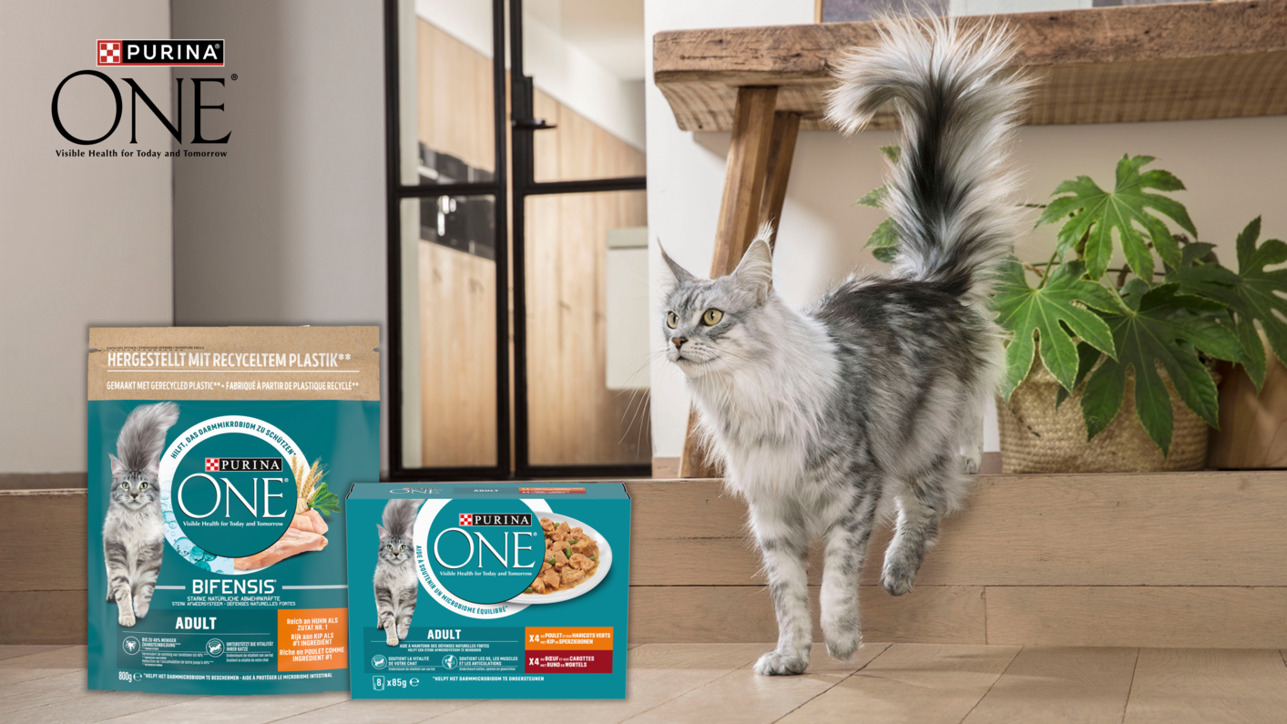 PURINA ONE CAT ADULT