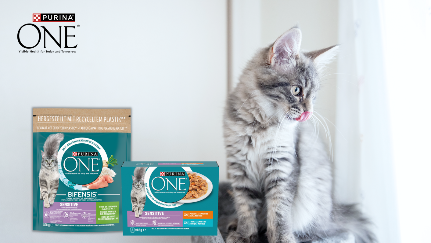 Sensitive Cat Mixed Feeding