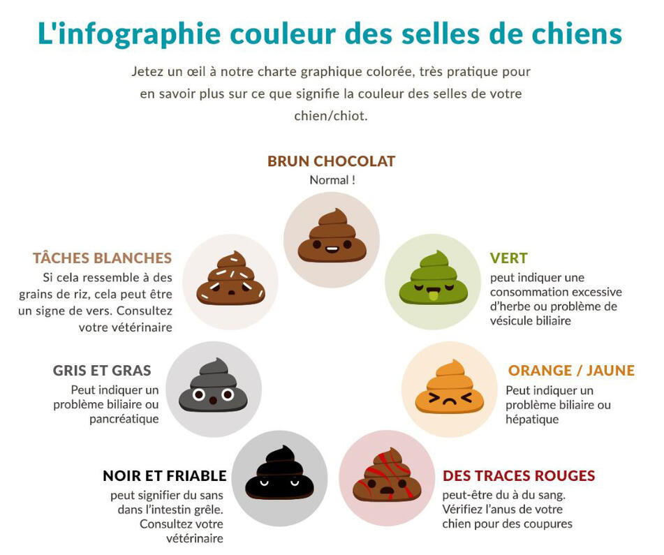 Franse illustratie kleur van uitwerpselen