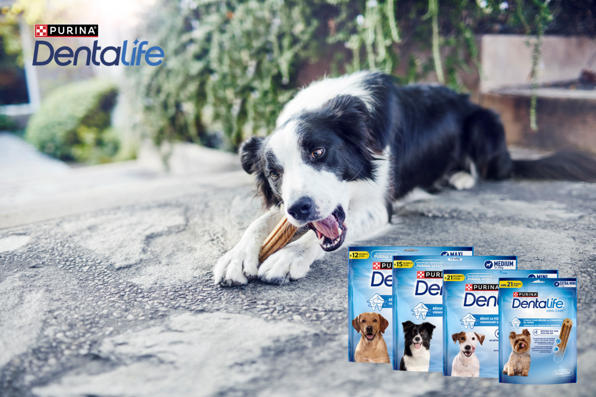 Dentalife® Range