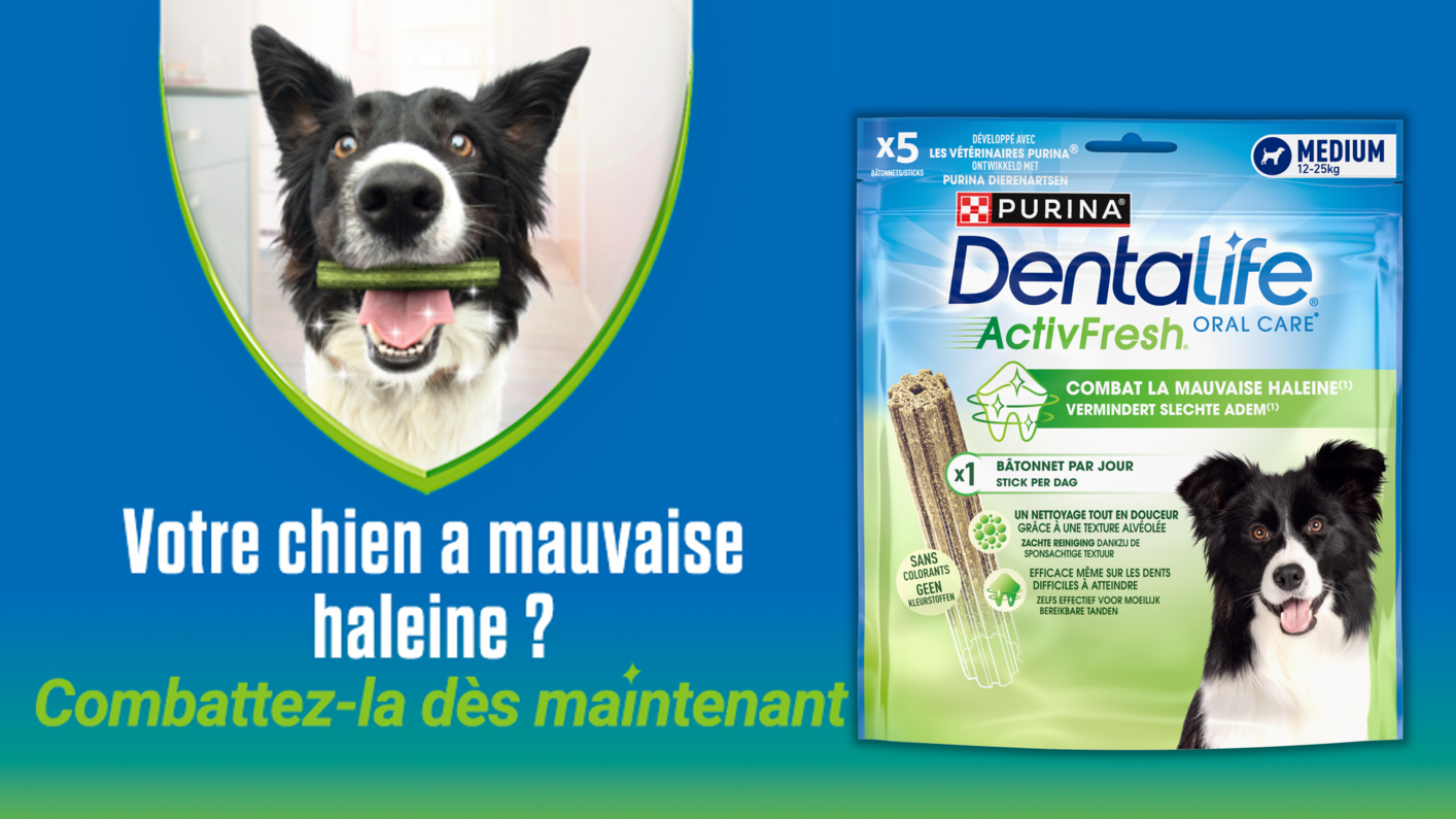 Dentalife® ActivFresh Banner FR