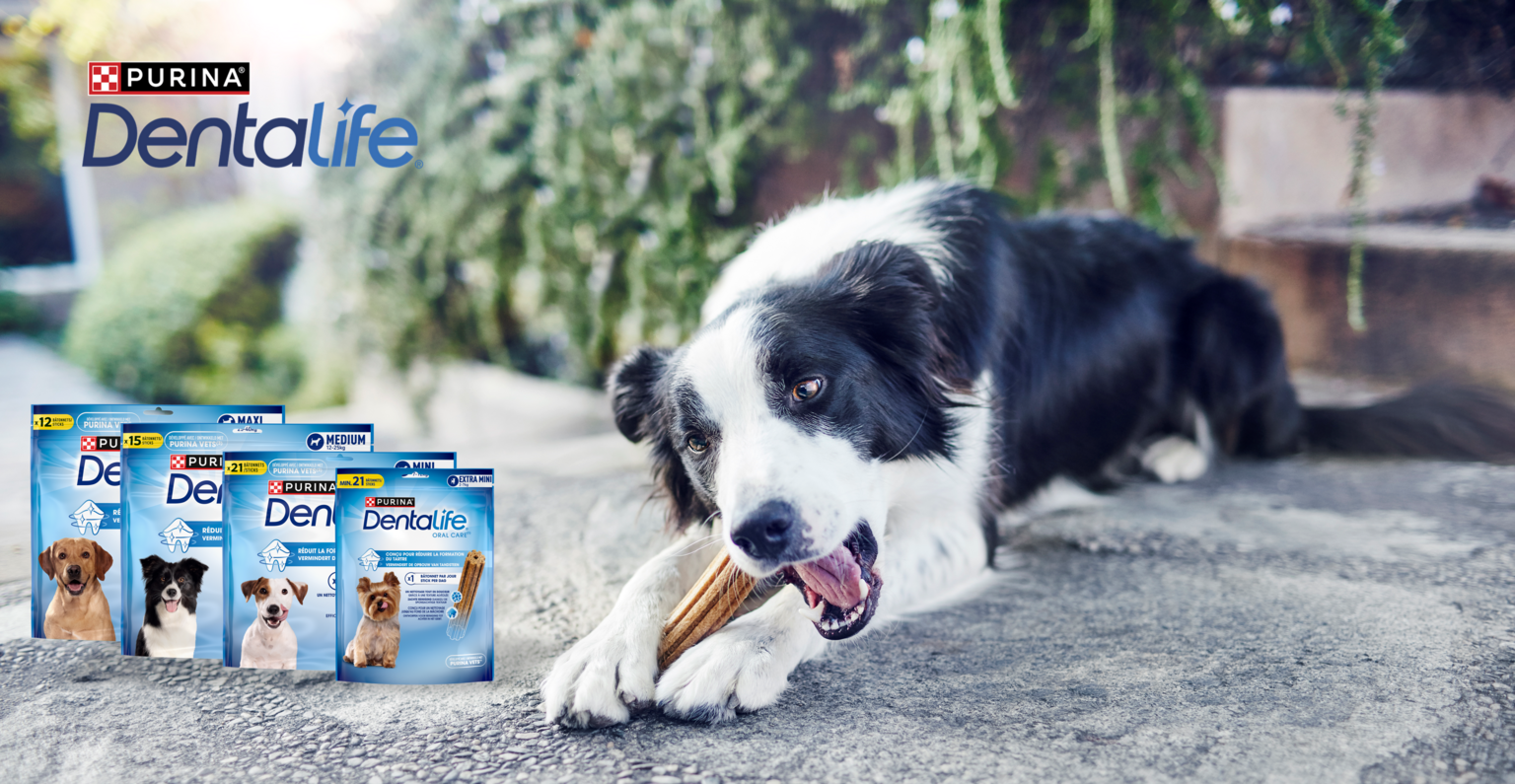 Dentalife® Range