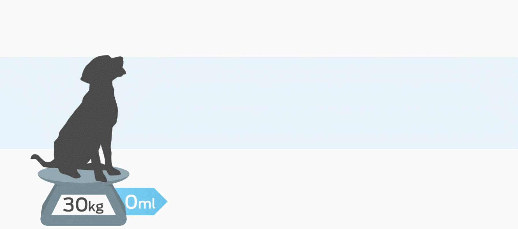 middelgrote hond op een weegschaal