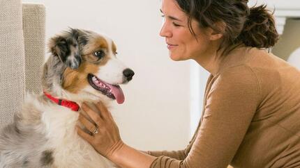 Hond kijkt naar eigenaar