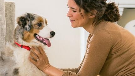 Maintenir la peau de votre chiot en pleine santé