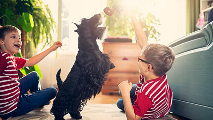 Enfants jouant avec un chien