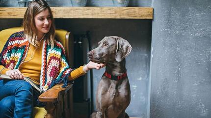 Oudere hond met baasje