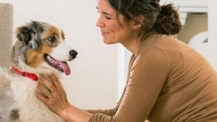 Meester en hond samen
